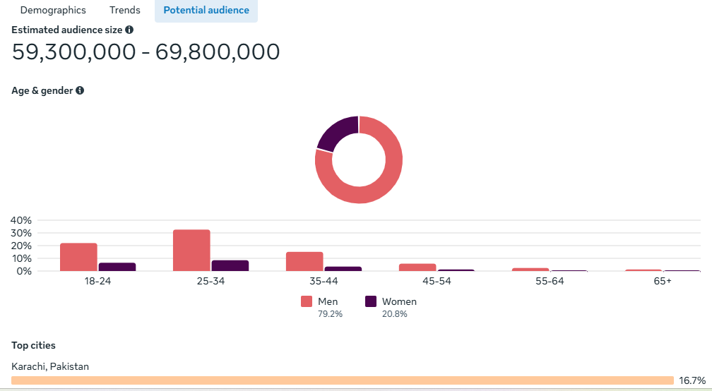 Meta audience insights for Karachi targeting